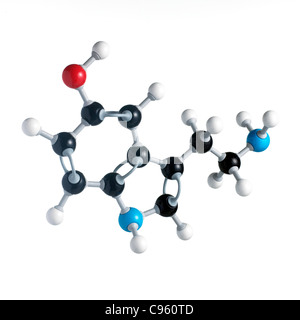 Serotonin Neurotransmitter-Molekül Stockfoto