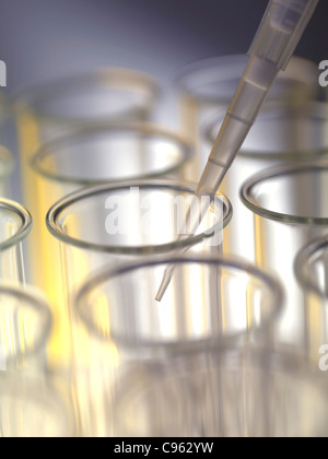 Pipettieren Flüssigkeit in ein Reagenzglas. Stockfoto