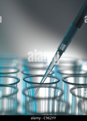 Pipettieren Flüssigkeit in ein Reagenzglas. Stockfoto