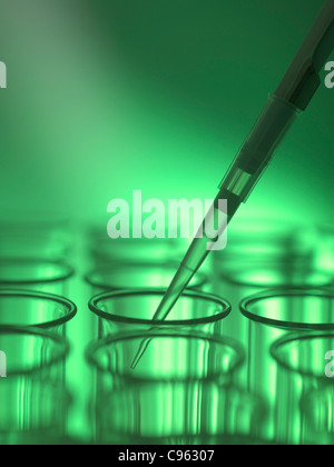 Pipettieren Flüssigkeit in ein Reagenzglas. Stockfoto