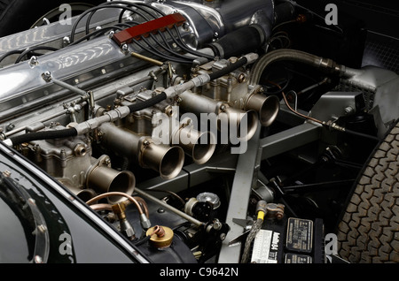 1956-Jaguar D-type Stockfoto