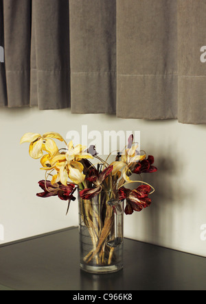 Verblasste Blumen in vase Stockfoto