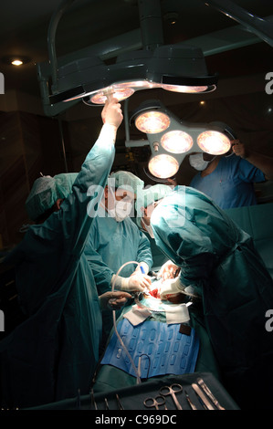 Ärzte der gynäkologischen Chirurgie im OP-Saal Stockfoto