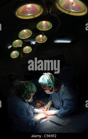 Ärzte der gynäkologischen Chirurgie im OP-Saal Stockfoto