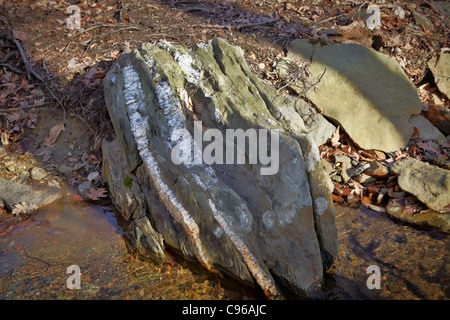 Venen des weißen Quarzit läuft über ein Stein von Metabasalt, Catoctin Mountain Park. Stockfoto