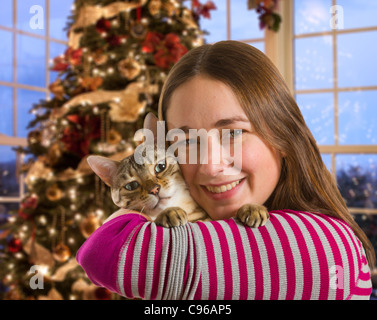 Junge Bengal Kätzchen am Arm der jungen Frau vor hell statt beleuchtete Christmas tree Stockfoto