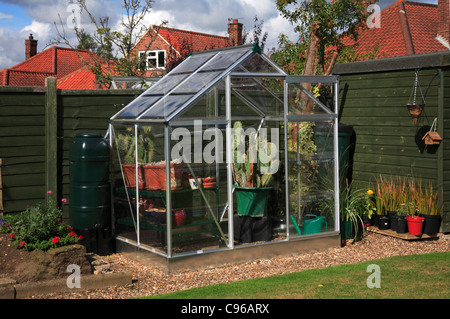 Eine kleine städtische Gartengewächshaus Gehäuse Kakteen. Stockfoto