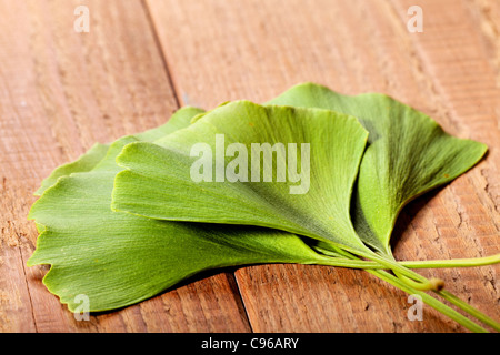 Ginkgo Biloba Blätter auf Holztisch Stockfoto