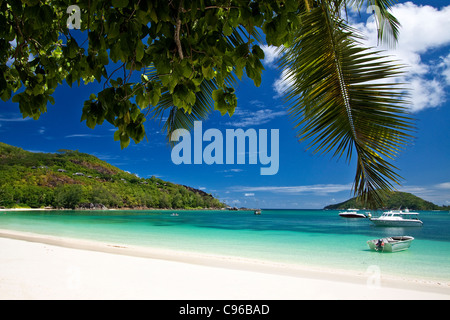 Port Launay Seychellen Stockfoto