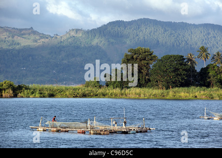 Süßwasser Fischzucht am Simanindo am Lake Toba, Sumatra, Indonesien Stockfoto