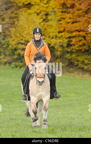 Junge Reiter im Galopp auf Rückseite des norwegischen Pferd im Herbst Stockfoto