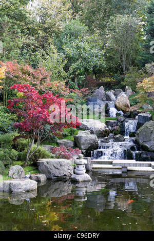 Herbstliche Szene des Wasserfalls im japanischen Kyoto-Garten in Kensington Holland Park. Stockfoto