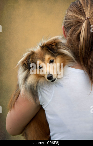 Mädchen mit Hund, Shetland Sheepdog, Stockfoto