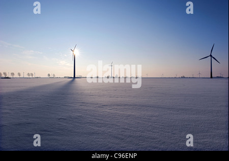 Windmühlen, Schnee, Winter, Kronprinzenkoog Dorf, Bezirk Kreis Dithmarschen, Schleswig-Holstein, Deutschland, Europa Stockfoto