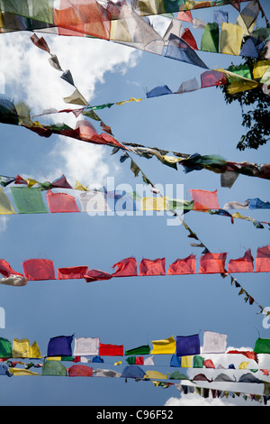 Buddhistisches Gebet Flaggen quer durch den Himmel. Stockfoto