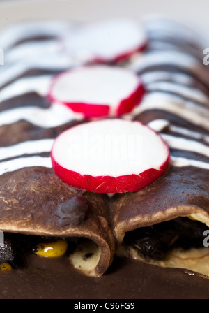 Enchiladas De Huitlacoche Con Queso Oaxaca Stockfoto