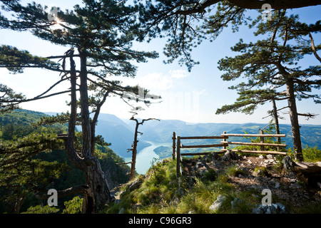 Herrliches Panorama von Tara Berg und Fluss Drina Stockfoto