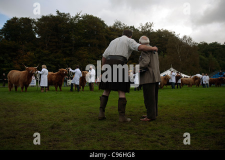 Highland Cattle Show in Pollock Parken Glasgow Schottland Stockfoto