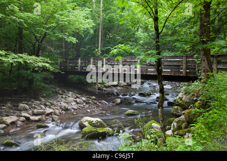 Brücke über den mittleren Prong des Little Pigeon River im Great Smoky Mountains National Park, auf der Tennessee-Seite des Parks. Stockfoto