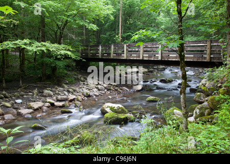 Brücke über den mittleren Prong des Little Pigeon River im Great Smoky Mountains National Park, auf der Tennessee-Seite des Parks. Stockfoto