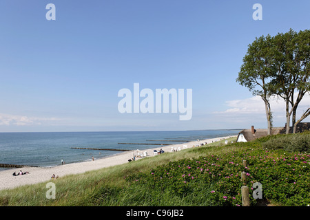 Strohdach Haus am Strand von Ahrenshoop, Halbinsel Fischland-Darß-Zingst, Ostsee, Deutschland Stockfoto