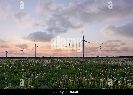 Windkraftanlagen, Silhouette von Windkraftanlagen im Sonnenuntergang, Windkraftanlage, Felder, Windpark Stockfoto