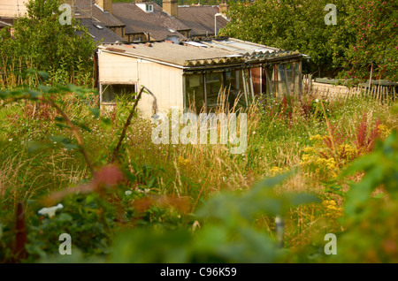 Schuppen / Hütten auf Kleingärten. Stockfoto