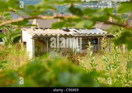 Schuppen / Hütten auf Kleingärten. Stockfoto