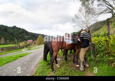 Reiter auf Feldweg, umgeben von einer dichten Vegetation, machen eine geführte tour Stockfoto