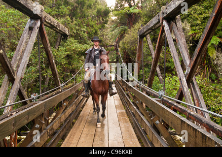 Reiter auf Feldweg, umgeben von einer dichten Vegetation, machen eine geführte tour Stockfoto