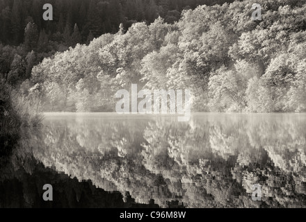 Spiegelbild im See Britton mit Herbst farbige Bäume. California Stockfoto