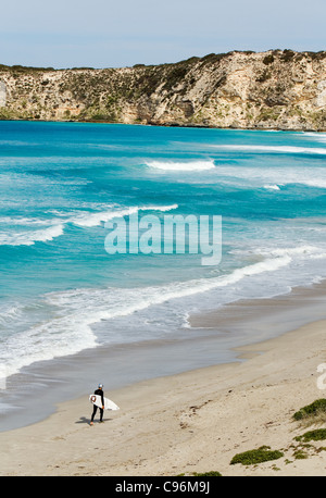 Eine Surfer Spaziergänge entlang des Strandes in Pennington Bay.  Kangaroo Island, South Australia, Australien Stockfoto