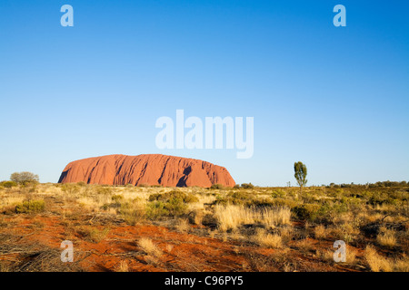 Uluru (Ayers Rock) bei Sonnenuntergang.  Uluru-Kata Tjuta National Park, Northern Territory, Australien Stockfoto