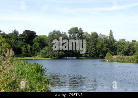 Themse bei Shiplake South Oxfordshire Stockfoto