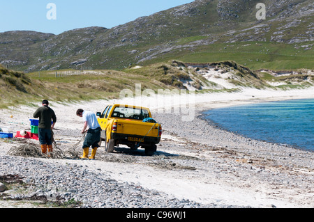 Zwei Fischer arbeiten neben einem van geparkt am Strand von Vatersay in den äußeren Hebriden. Stockfoto