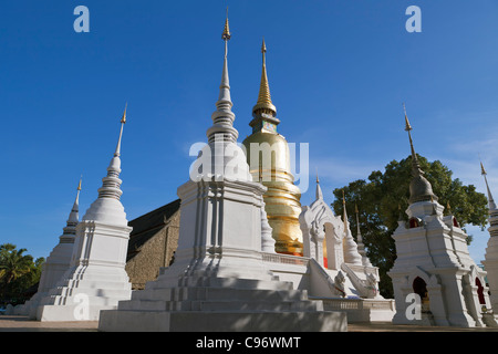 Die Chedi und Stupas im Wat Suan Dok, Chiang Mai, Thailand. Stockfoto