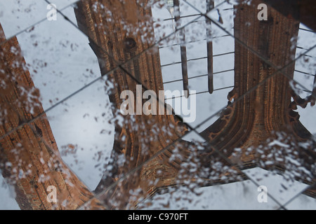 Ruine der Klosterkirche. Berlin, Deutschland. Stockfoto