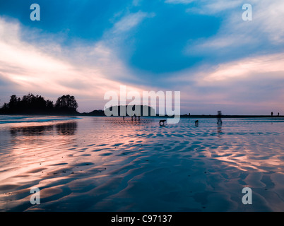 Sonnenuntergang bei Surfern in Ferne am South Chesterman Beach, Vancouver Island, British Columbia, Kanada Stockfoto