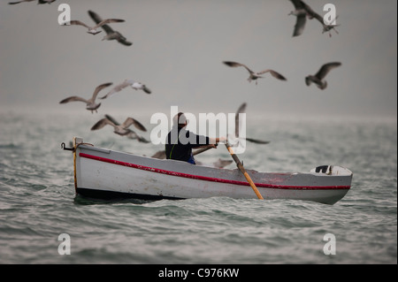 Traditionellen Hering Fischer Stephen Perham Rudern zurück mit seiner für das jährliche Festival Clovelly Hering, Devon fangen Stockfoto