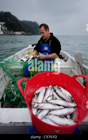 Traditionellen Hering Fischer Stephen Perham Fang Hering aus Clovelly, Devon, die hält ein jährliches Festival von Hering. Stockfoto