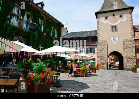 Turkenheim, Elsass, Mosel, Riesling, Gewürztraminer, Pinot Gris, Muscat, Sylvaner Rebsorten, Weine, Weinberge, Dörfer, Frankreich Stockfoto