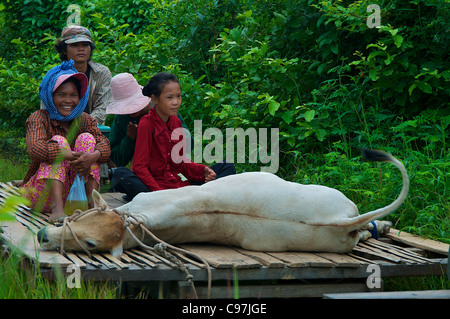 Bambus-Zug-Transport in Battambang Stockfoto