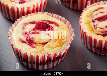 Käsekuchen-Muffins mit Himbeeren Wirbel. Stockfoto