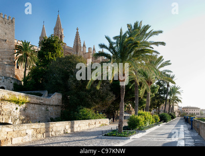 Park De La Mer vor Palma Kathedrale La Seu, Palma, Mallorca, Spanien Stockfoto