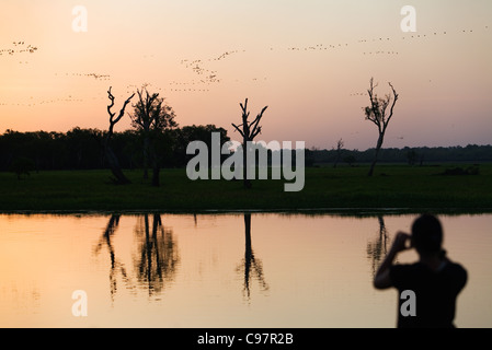 Touristen fotografieren den Sonnenuntergang am gelben Wasser Feuchtgebiete. Cooinda, Kakadu-Nationalpark, Northern Territory, Australien Stockfoto