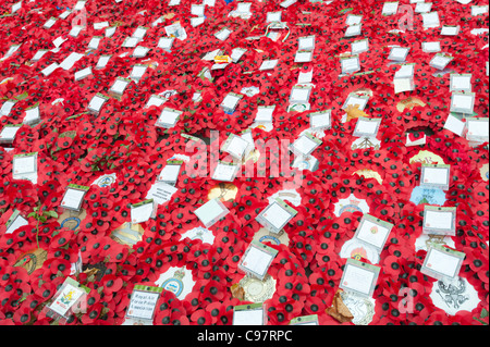 Kränze von Mohn 2011 neben der Kenotaph in Whitehall, Central London, England, am Remembrance Day Sonntag, platziert. Stockfoto