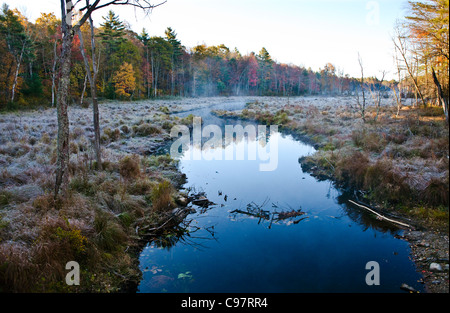 East Branch des Swift River in Petersham, Massachusetts Stockfoto