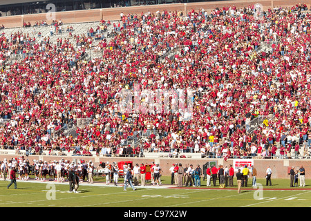 Seminole-Fans füllen die Stände bei einem FSU nach Hause Fußballspiel in Tallahassee, Florida, USA. Stockfoto