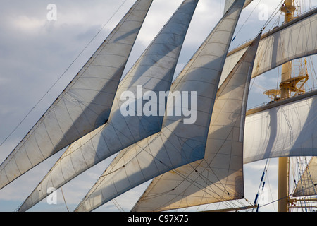 Kreuzfahrtschiff Star Flyer (Star Clippers Kreuzfahrten) unter vollen Segeln Isla Tortuga Puntarenas Costa Rica Mittelamerika Amerika segeln Stockfoto