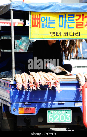 Fisch zum Verkauf in Busan, Südkorea. Stockfoto